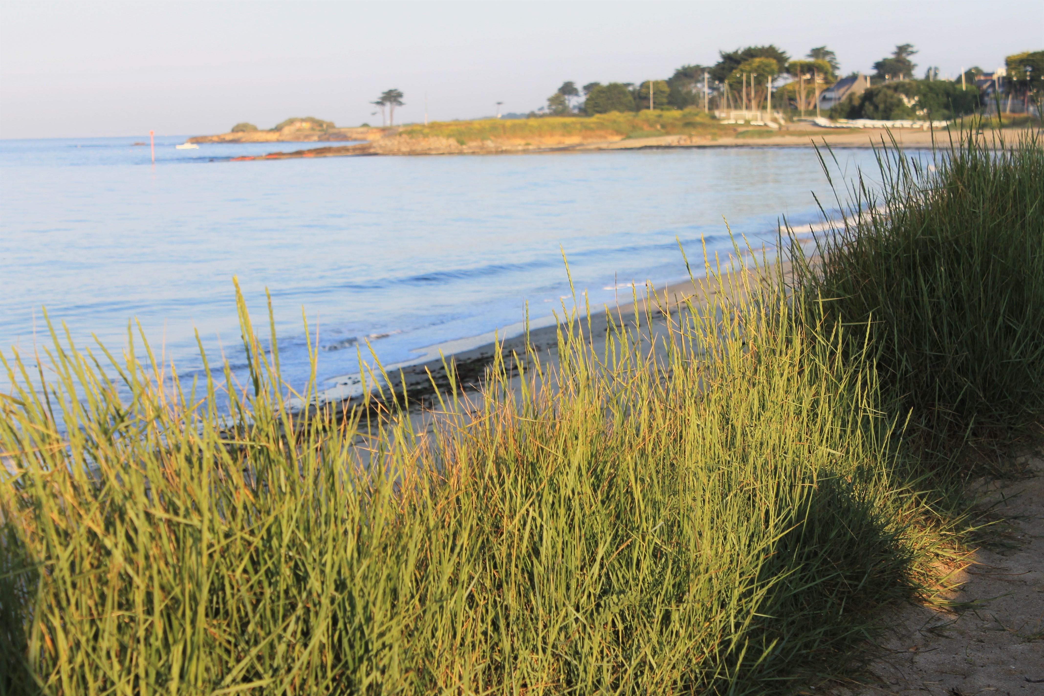 Logis Hotel & Restaurant Les Mouettes - Larmor Plage, Proche De Lorient Екстериор снимка