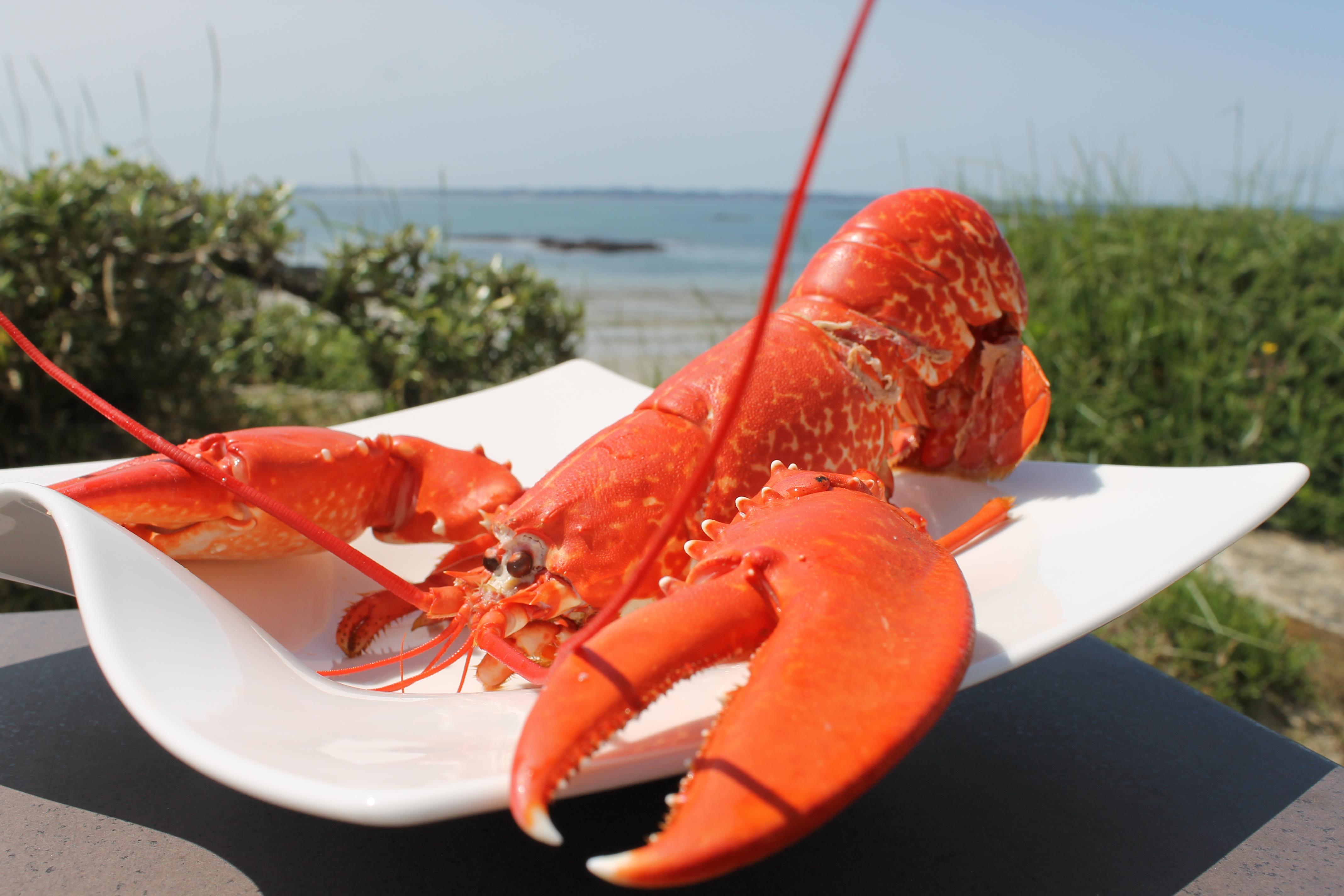 Logis Hotel & Restaurant Les Mouettes - Larmor Plage, Proche De Lorient Екстериор снимка