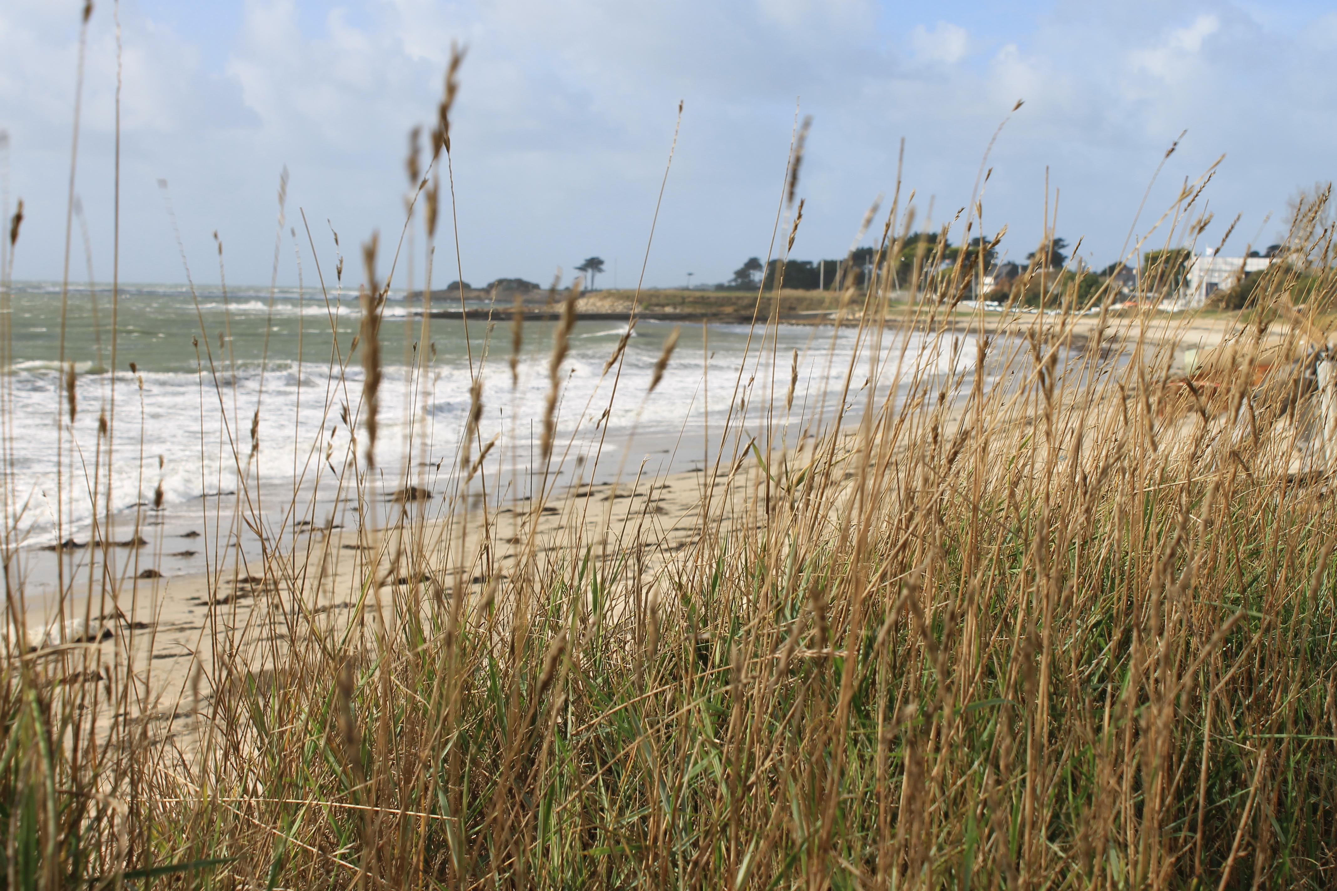 Logis Hotel & Restaurant Les Mouettes - Larmor Plage, Proche De Lorient Екстериор снимка