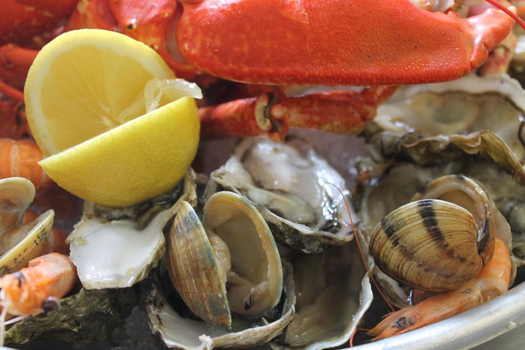 Logis Hotel & Restaurant Les Mouettes - Larmor Plage, Proche De Lorient Екстериор снимка